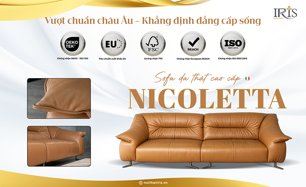 Ghế là sự vượt trội về tiêu chuẩn Châu Âu