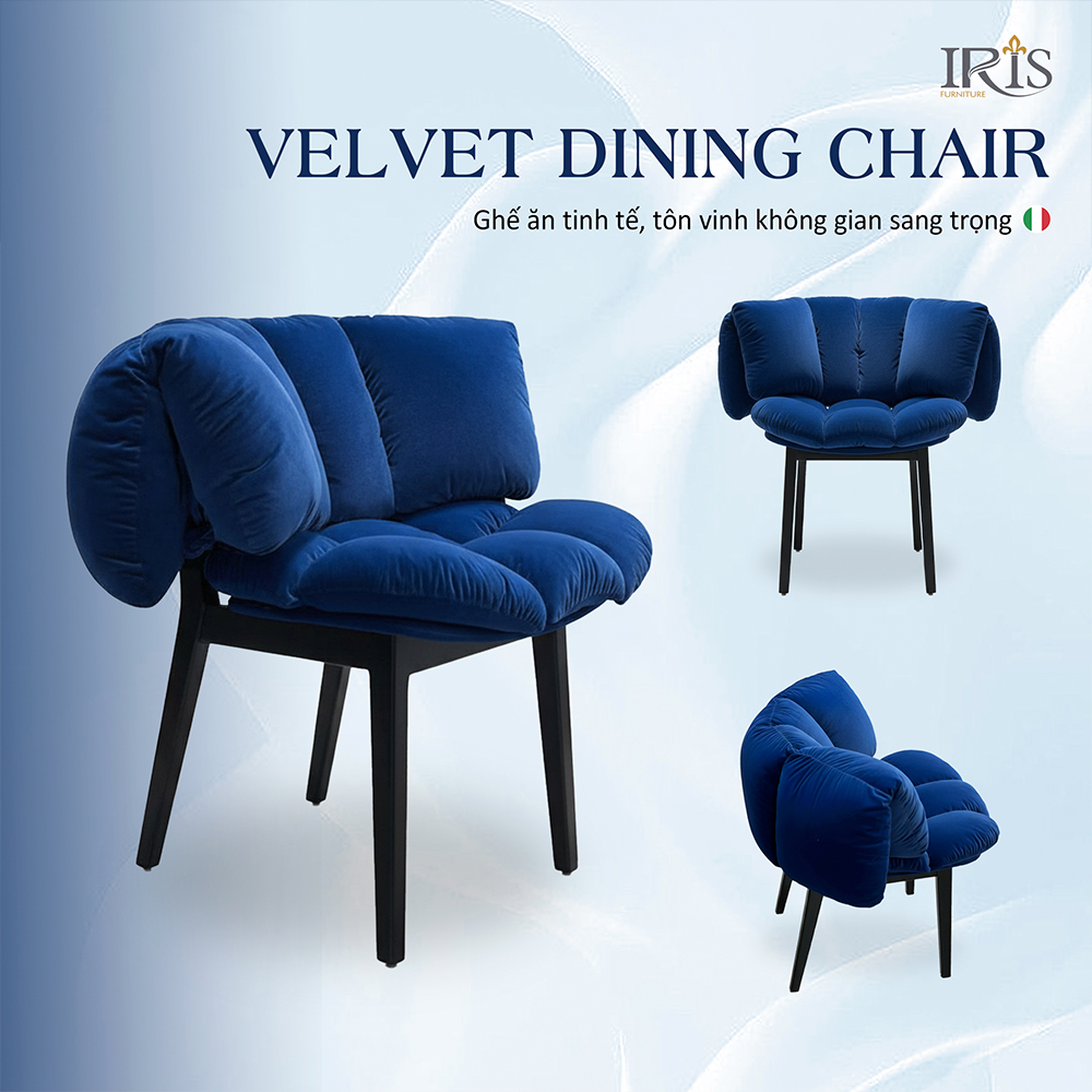 Ghế ăn Blue Velvet lựa chọn tinh tế cho không gian của gia chủ