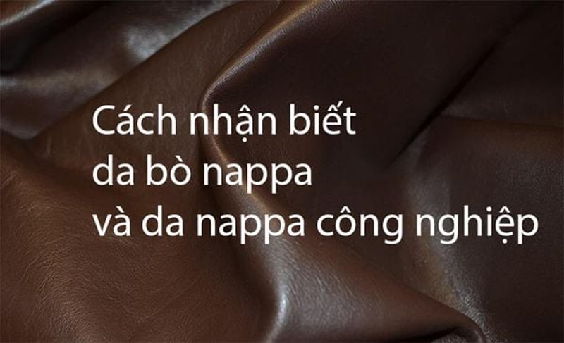 5 tiêu chí để nhận biết da bò Nappa và da Nappa công nghiệp