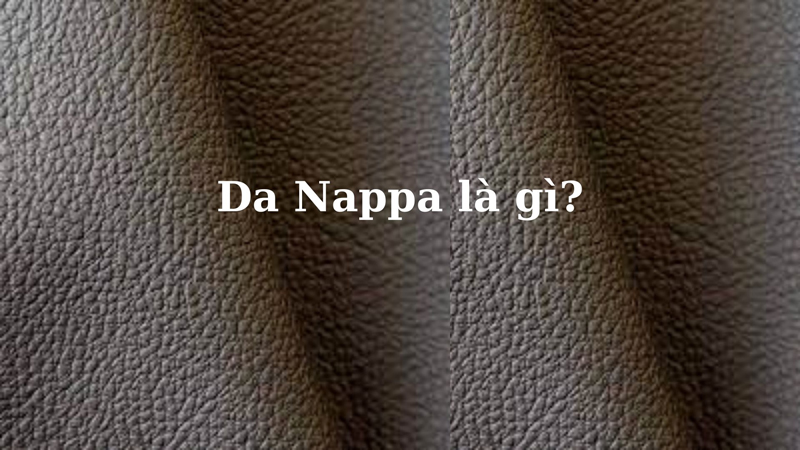 Da Nappa là gì?