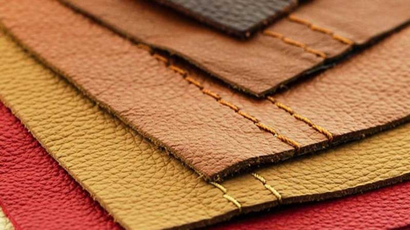 Da Nappa có ưu điểm bền bỉ lâu dài