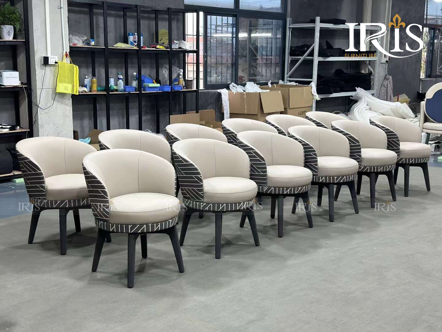 Ghế Ăn DOYLE Sản Xuất Tại Nhà Máy