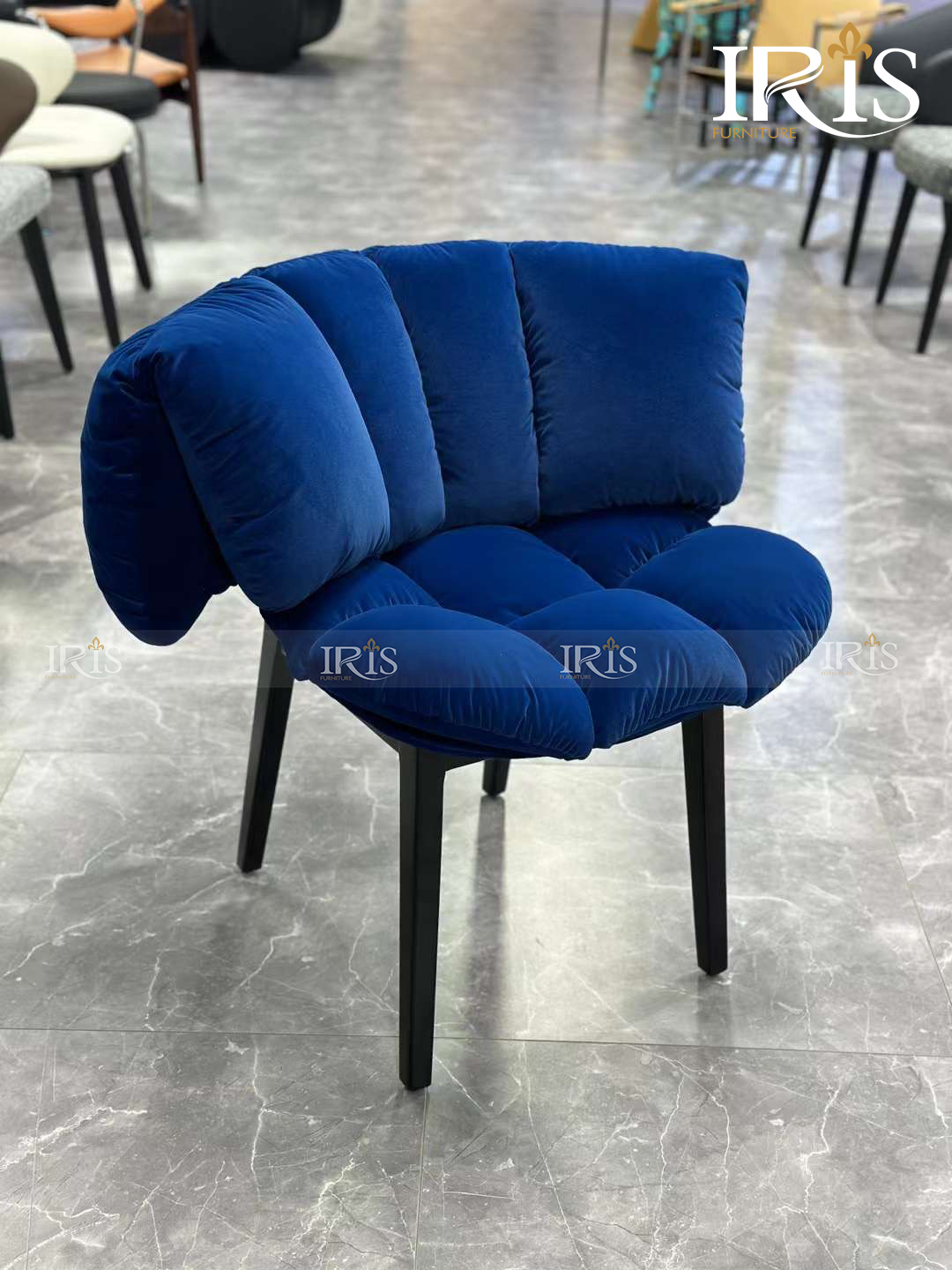 Ghế Ăn EDRA Màu Xanh Dương Hiện Đại