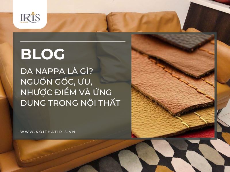Da Nappa là gì Nguồn gốc, ưu, nhược điểm và ứng dụng trong nội thất