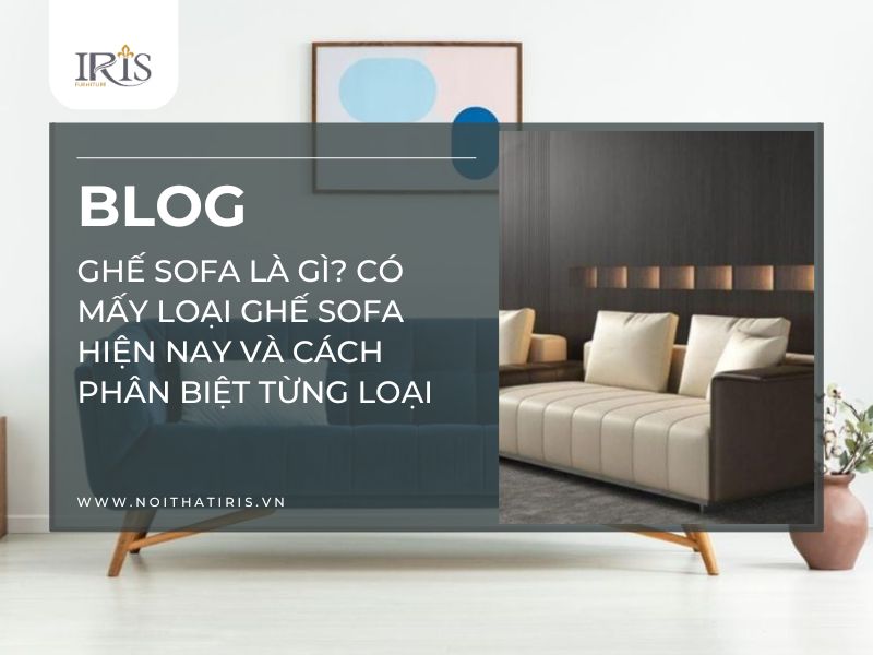 Ghế sofa là gì? Có mấy loại ghế sofa hiện nay và cách phân biệt từng loại
