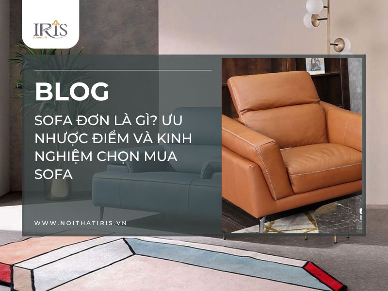 Sofa đơn là gì Ưu nhược điểm và kinh nghiệm chọn mua sofa