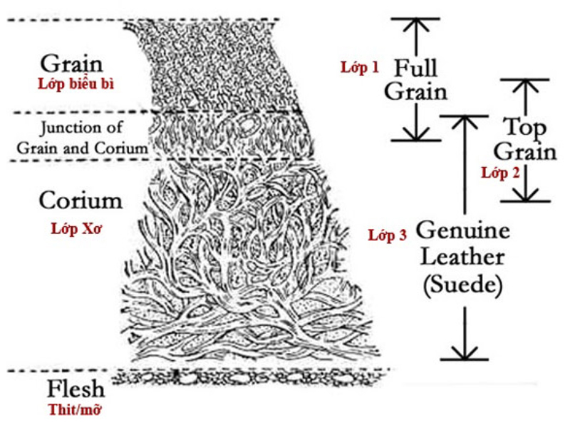 Da Genuine Leather được làm từ chất liệu da bò nhập khẩu 