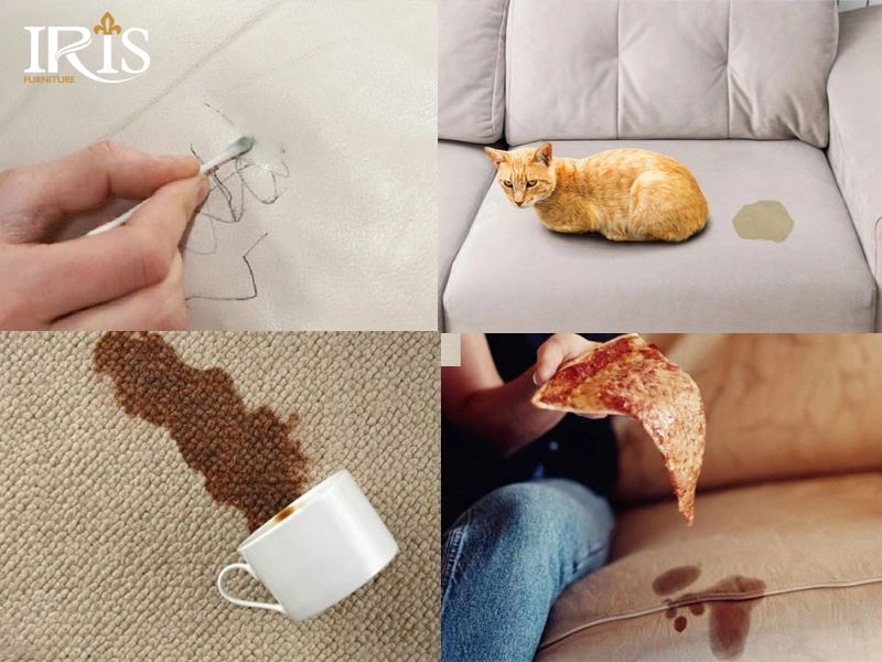 Nên phân loại vết bẩn trước khi vệ sinh