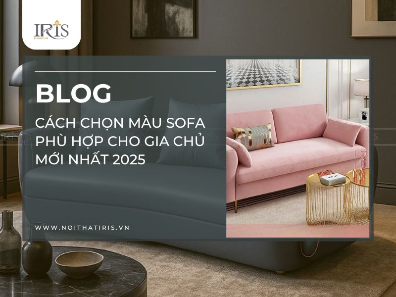 Cách chọn màu sofa​ phù hợp cho gia chủ mới nhất 2025