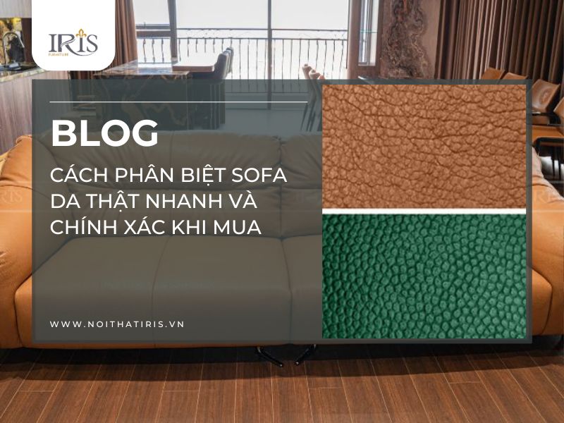 Cách phân biệt sofa da thật nhanh và chính xác khi mua