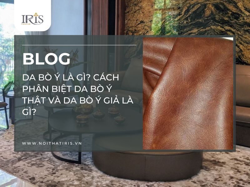 Da bò Ý là gì? Cách phân biệt da bò ý thật và da bò ý giả là gì