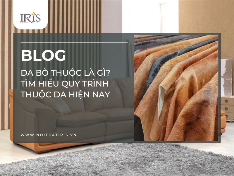 Da bo thuoc la gi Tim hieu quy trinh thuoc da hien nay