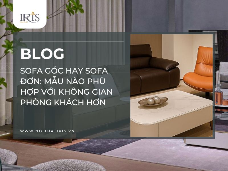 Sofa góc hay Sofa đơn Mẫu nào phù hợp với không gian phòng khách hơn