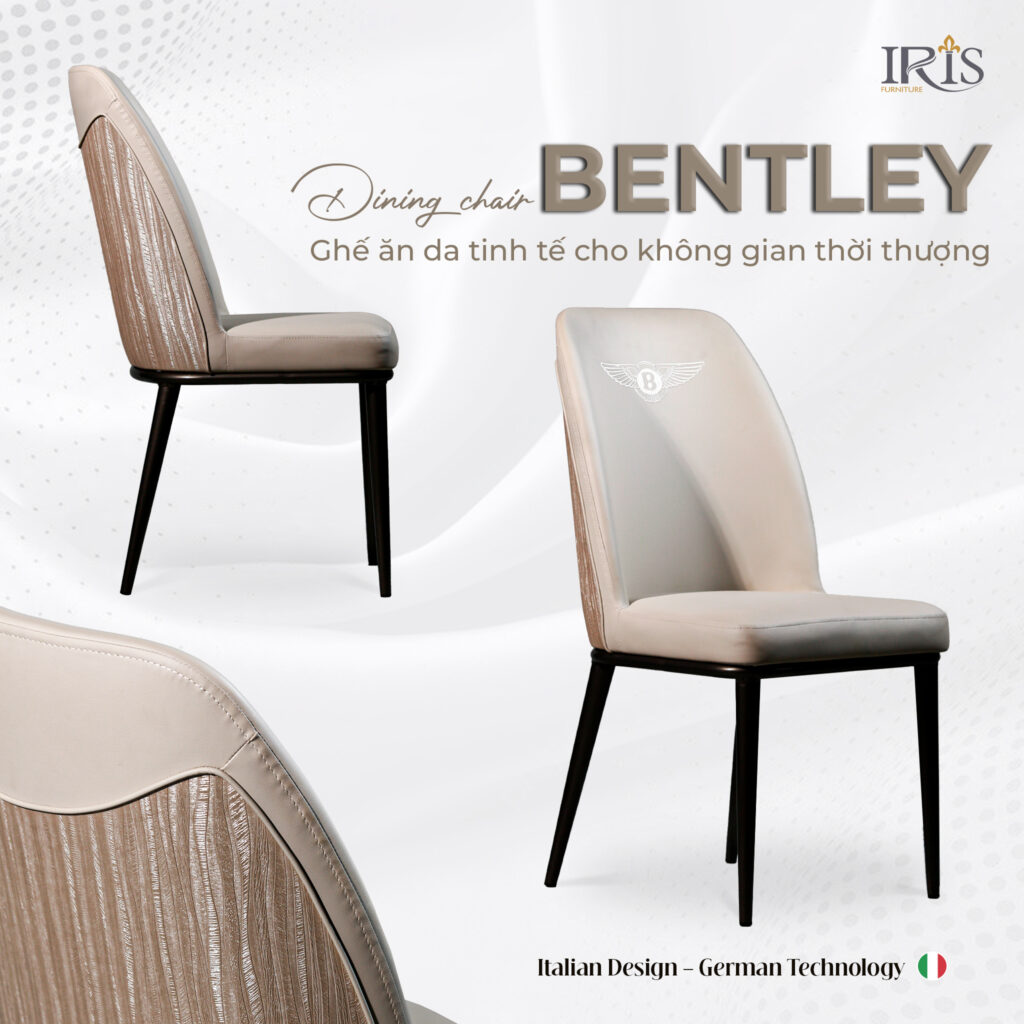Ghế ăn Bently thiết kế sang trọng 