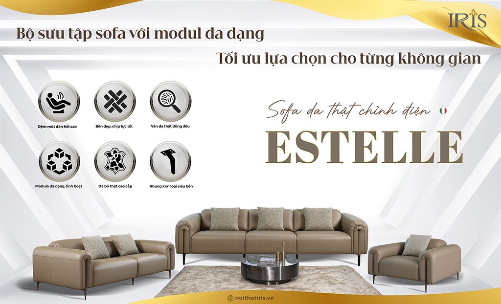 Mang tới sự sang trọng hoàn hảo và hiện đại