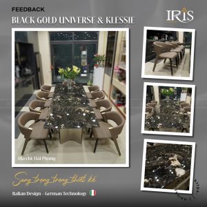 Dự án may đo: Bàn Ăn Black Gold Universe & Ghế Ăn Klessie